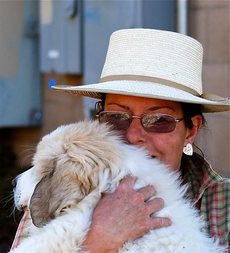 Livestock Guardian Dogs And Barking